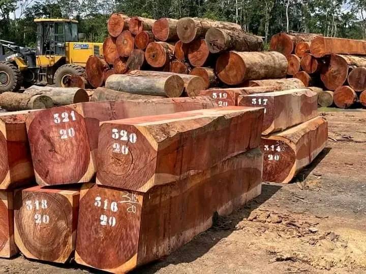 Exotic Wood Products