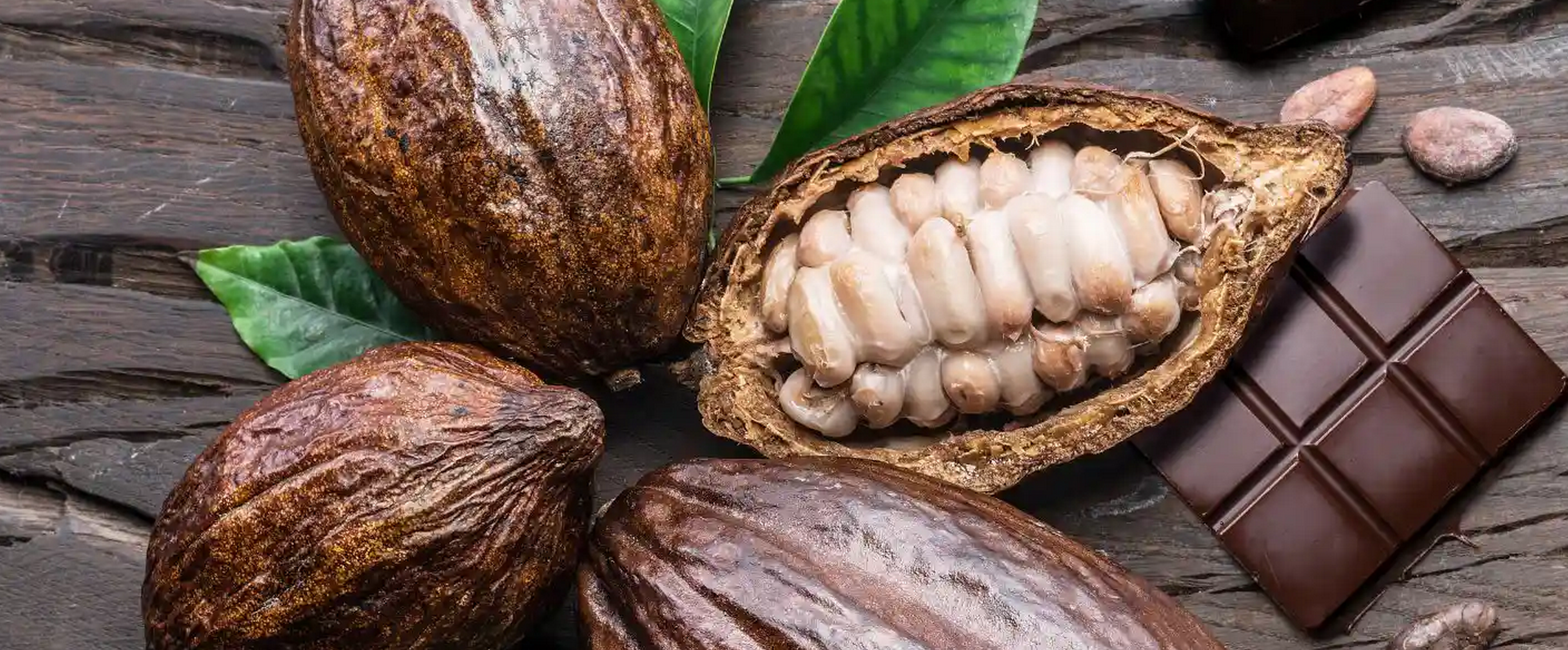 Premium Cocoa Beans